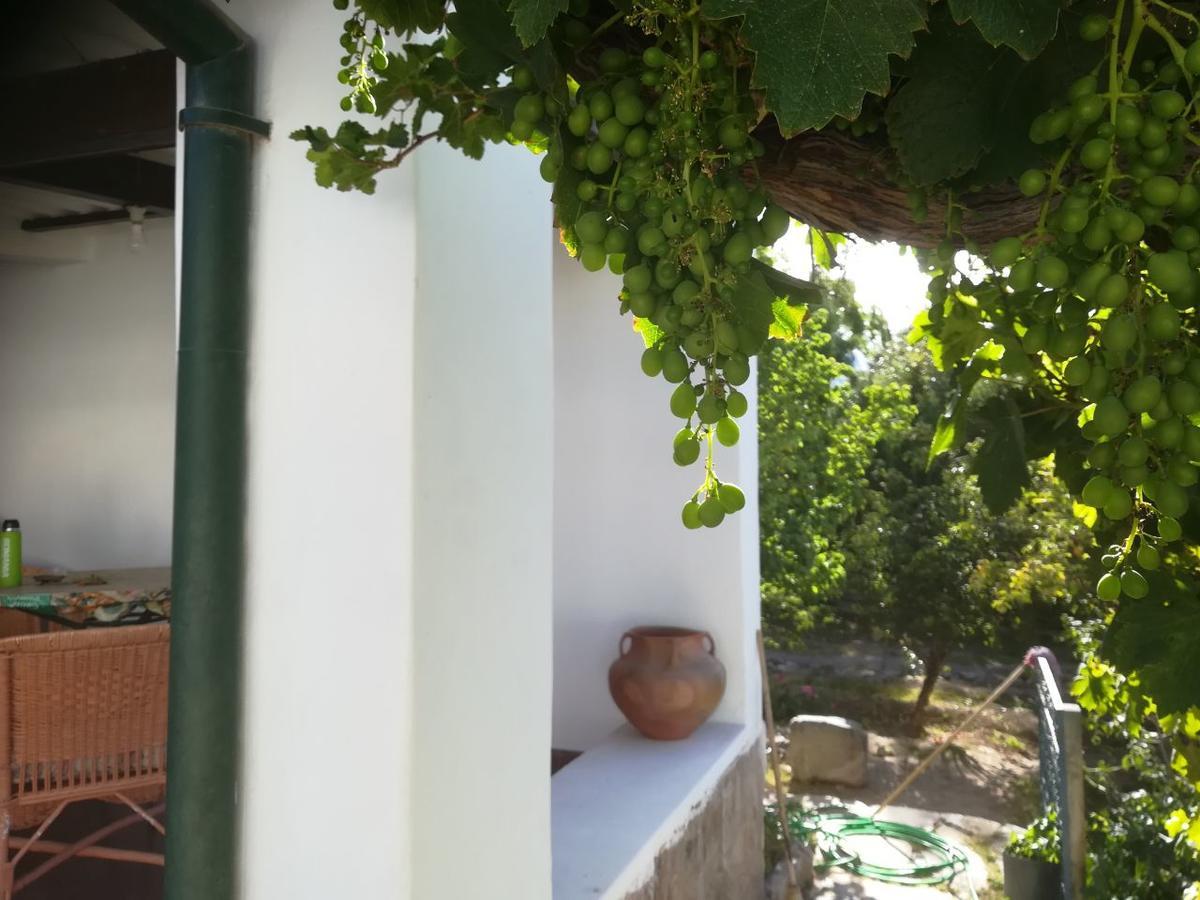 تيلكارا Villa Nanin المظهر الخارجي الصورة